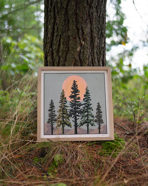 Wilderness